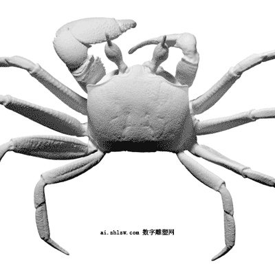 3D模型快照