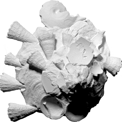 3D模型快照